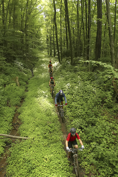 Mountainbikers on Props Run, a single track trail.; Monongahela National Forest, Slatyfork, West Virginia., Photo by Skip Brown / Design Pics
