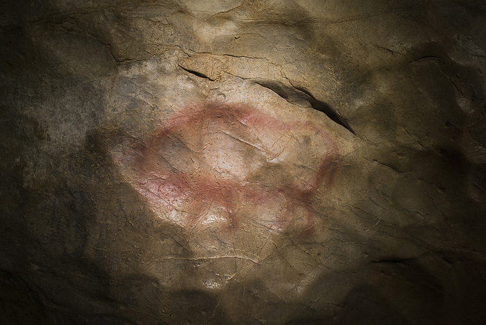 Drawing of a bison on the Western panel in the Hall of Drawings of Shulgan-Tash (Kapova) cave. Contours of the drawing conform to the complex relief of the cave wall, Ural Mountains; Russia, Photo by Robbie Shone / Design Pics