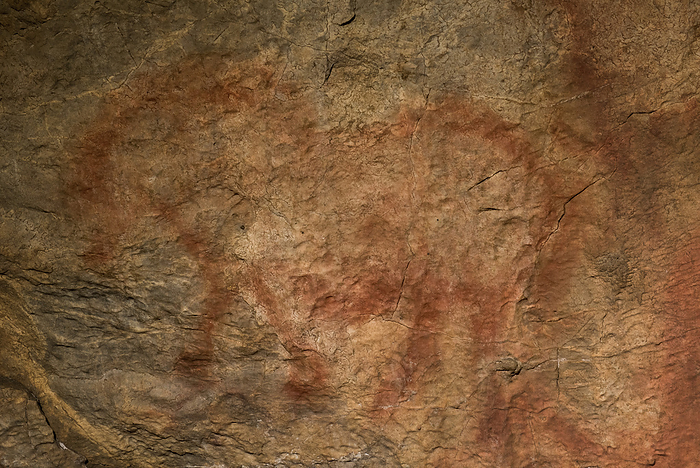 Drawing of Horse of Riumin on the Eastern panel in the Hall of Drawings of Shulgan-Tash (Kapova) cave, Ural Mountains; Russia, Photo by Robbie Shone / Design Pics