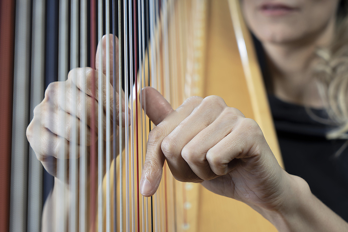 Woman Playing Harp,cropped hands of woman playing harp, Hands of mature woman playing harp