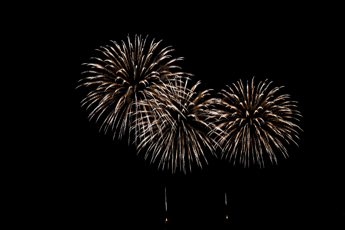 Fireworks (chrysanthemum fire)