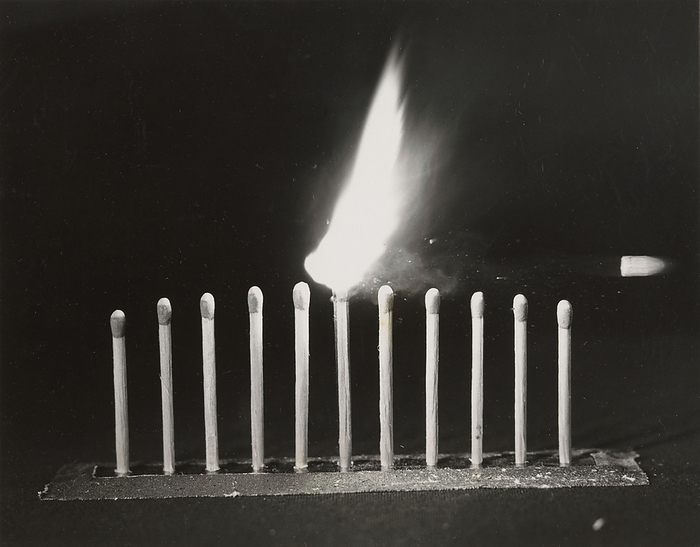Bullet igniting a match Bullet igniting a match., by Rijksmuseum SCIENCE PHOTO LIBRARY