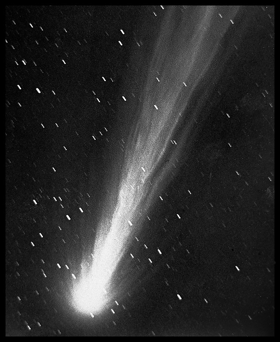 Comet Morehouse in 1908 Comet Morehouse in 1908. This comet, formally classified as C 1908 R1, was discovered by US astronomer Daniel Walter Morehouse, and observed on 1 September 1908. Comets are icy bodies from the outer solar system that boil and form a bright tail of gas and dust as they approach the Sun. This comet was observed to have a highly variable tail structure. At times, the tail seemed to split into up to six separate tails, while at others it appeared completely detached from the head of the comet. Glass plate photograph taken on 18th November 1908 by Max Wolf at the Heidelberg Observatory, Germany., by DETLEV VAN RAVENSWAAY SCIENCE PHOTO LIBRARY