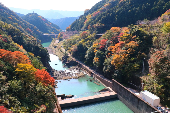 Arita River in autumn from the weir of Futagawa Dam
