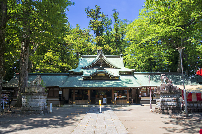 Ichimonokunushi Shrine Joso City, Ibaraki Pref.