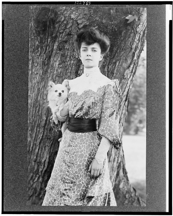 Alice Roosevelt Longworth, three quarter length portrait, standing in front of tree...dog, c1902. Creator: Frances Benjamin Johnston. Alice Roosevelt Longworth, three quarter length portrait, standing in front of tree, facing slightly left, holding small dog, c1902.  Daughter of President Theodore Roosevelt and his first wife Alice Hathaway Lee .