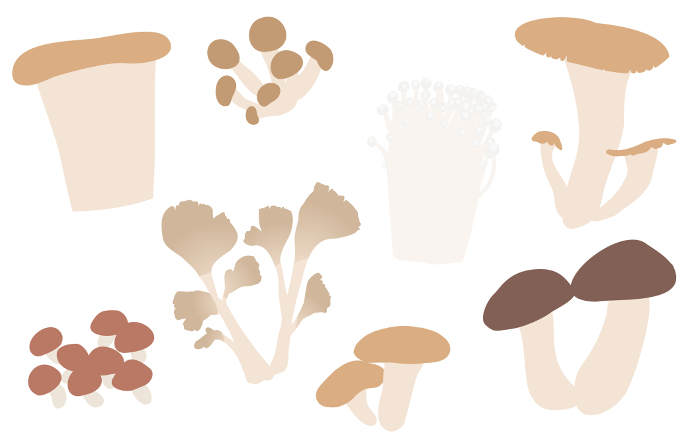 Simple illustration of mushrooms, a taste of autumn Matsutake mushroom, Maitake mushroom, Shiitake mushroom and other set