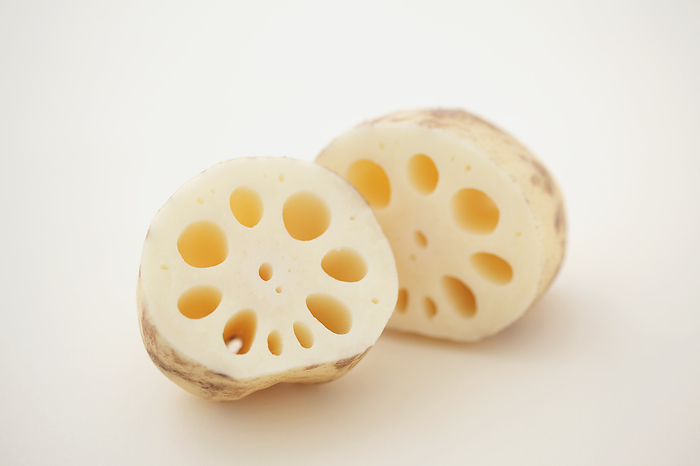 Cross section of lotus root