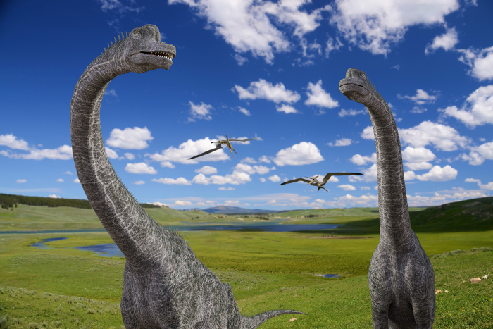 Pteranodon flying behind Brachiosaurus walking in the magnificent nature