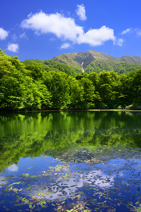 Karigome Pond and Mt. Hakusan Ono City, Fukui Prefecture Hakusan San no mine from Karigome Pond