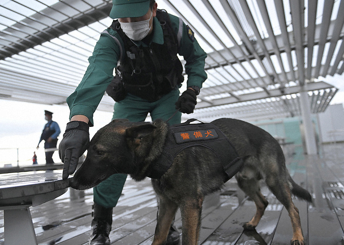 Police officers and security dogs inspecting the observation deck at the airport. A police officer and a security dog inspect the observation deck at Haneda Airport on September 24, 2022  photo by Ririko Maeda.