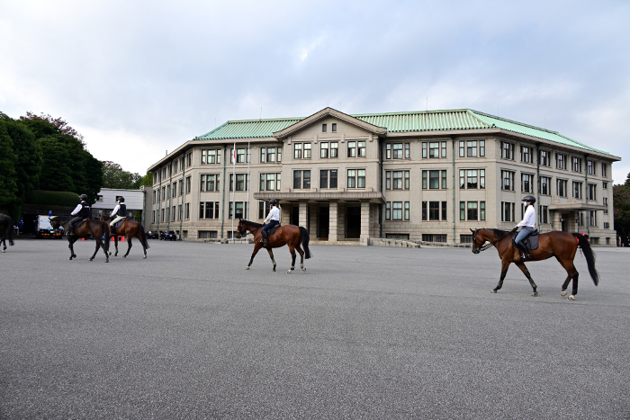 Escort horses in front of the Imperial Household Agency building at the Imperial Palace