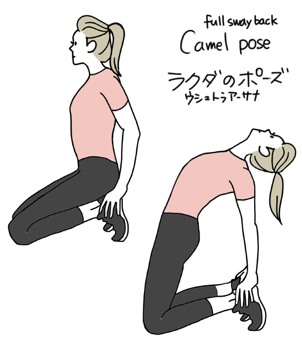 Core Training Camel Pose