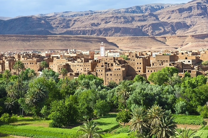 Tinerir, Morocco Palm grove, date palms  Phoenix , small fields and a village of mud walled houses, mosque, Tinghir, High Atlas, Morocco, Africa