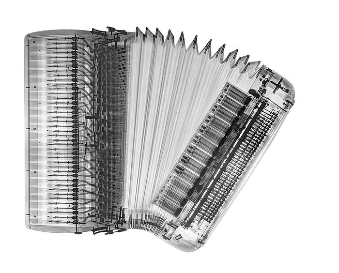 Accordion, X ray X ray of an accordion., by PHOTOSTOCK ISRAEL SCIENCE PHOTO LIBRARY