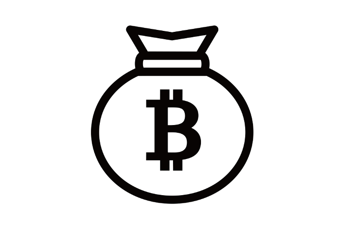 Bitcoin bag icon