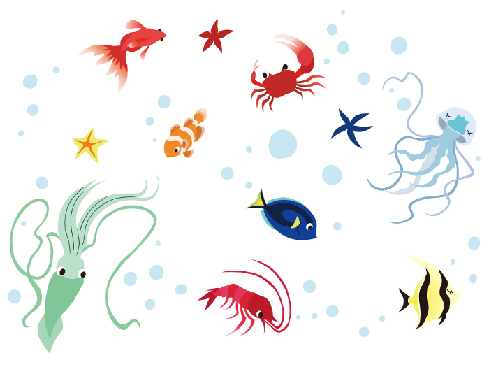 Set of waterfront, sea creatures