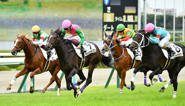 2022 2yrs old New horse race Make Debut Hanshin October 9, 2022 Horse Racing Race, Hanshin Horse Racing, 5R Shinsa  Rookie , 1st 9, Marka Charman, Daihito Ozawa, jockey, Location Hanshin