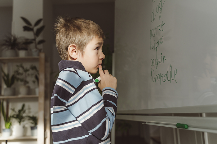 Thoughtful boy looking at spellings on whiteboard in home