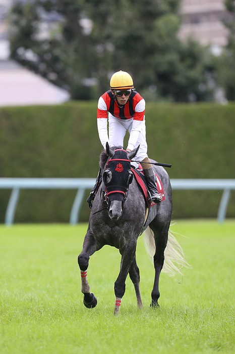2022 Kyoto Daishoten Win Mighty  Ryuji Wada , OCROBER 10, 2022   Horse Racing : Jockey Ryuji Wada ridden by Mighty during the Kyoto Daishoten at Hanshin  Photo by Eiichi Yamane AFLO 