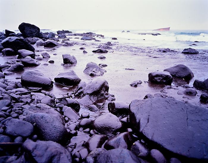 Nakhodka oil spill January 1997 Heavy oil washed ashore on the Mikuni Coast