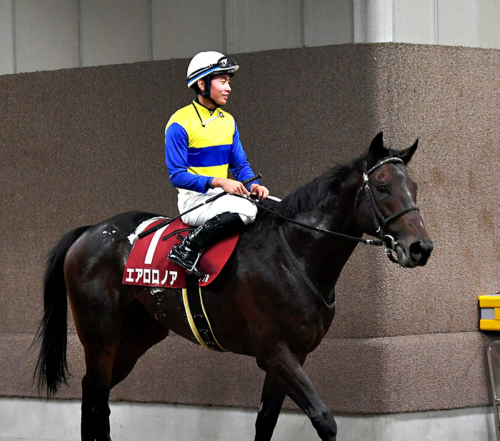 2022 Fuji Stakes  G2  October 22, 2022 Horse Racing Race 11R Fuji Stakes 5 1 Aero Lonore  Mochirai Iwata, rider  Fuchu City, Hiyoshi cho, Tokyo Racecourse