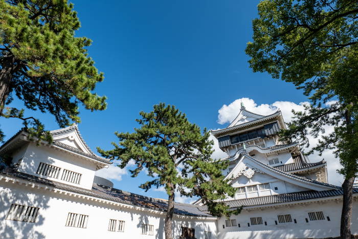 Blue sky and the keep of Kokura Castle Kitakyushu City