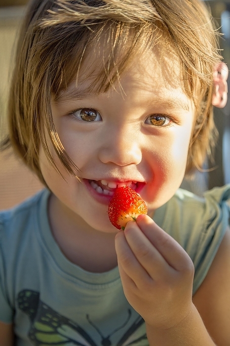 Girl eating strawberry Toddler girl eating a strawberry