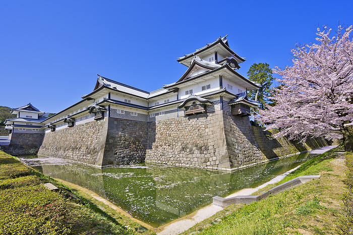 Kanazawa Castle and Cherry Blossoms Kanazawa City Ishikawa Prefecture