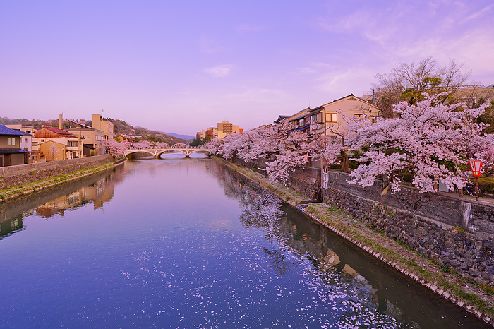 Evening view Asanogawa Bridge and cherry blossoms Kanazawa City, Ishikawa Prefecture