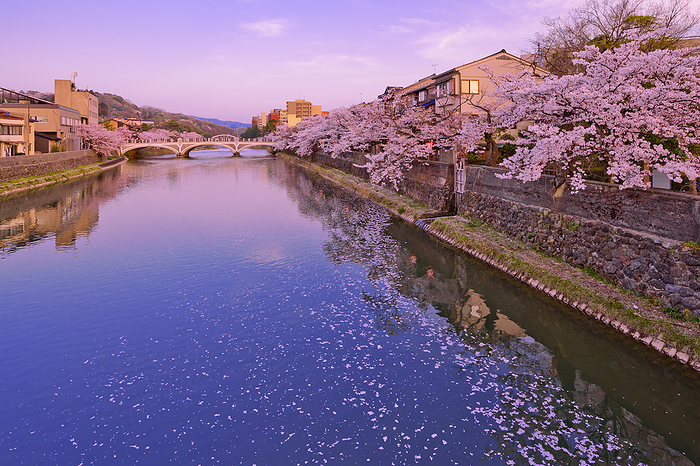 Evening view Asanogawa Bridge and cherry blossoms Kanazawa City, Ishikawa Prefecture
