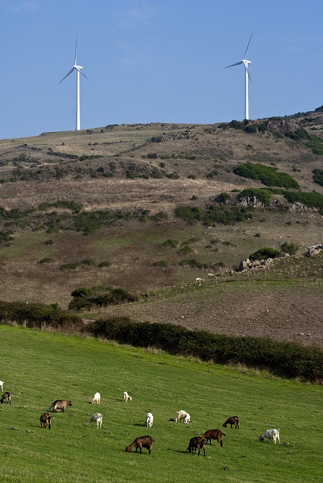 Windmills overlooking rural landscape