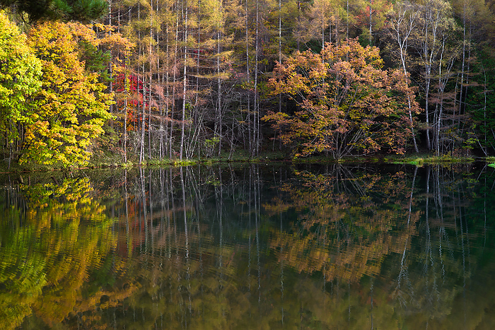 Mikashika Pond Nagano Pref.