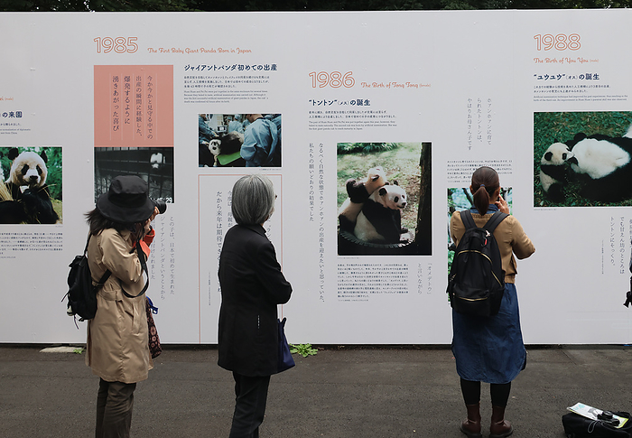 50th anniversary of the arrival of Giant pandas in Japan Visitors look at panel exhibition that tells the history of pandas in the park on October 28, 2022 at Ueno Zoo in Tokyo, Japan. Japanese people fascinated with China s giant pandas for 50 years.  Photo by Hitoshi Mochizuki AFLO 