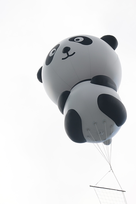 50th anniversary of the arrival of Giant pandas in Japan A giant panda balloon is seen in Ueno, Taito city on October 28, 2022 in Tokyo, Japan. Japanese people fascinated with China s giant pandas for 50 years.  Photo by Hitoshi Mochizuki AFLO 