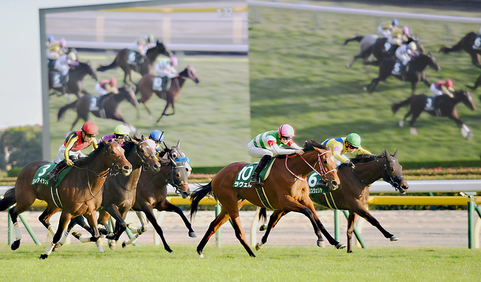 2022 Artemis Stakes  G3  Ravel Winner October 26, 2022 Horse Race, Race 11R, Artemis Stakes, 1st 10, Ravel  Rusei Sakai, jockey , Fuchu City, Hiyoshi cho, Tokyo Racecourse