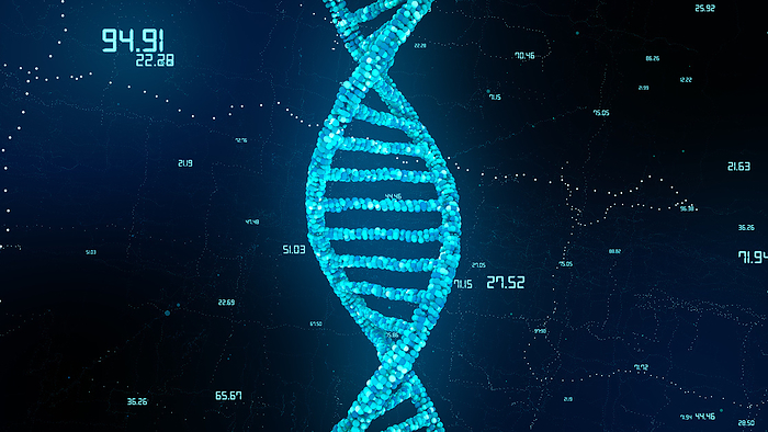 DNA molecule, illustration DNA  deoxyribonucleic acid  molecule, conceptual illustration., by RICHARD JONES SCIENCE PHOTO LIBRARY