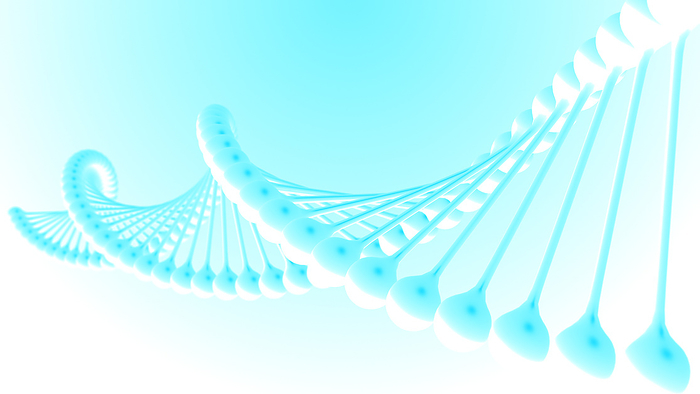 DNA molecule, illustration DNA molecule, illustration., by RICHARD JONES SCIENCE PHOTO LIBRARY