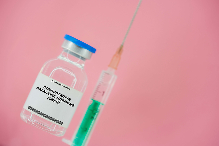 Gonadotrophin releasing hormone, conceptual image Conceptual image of a vial and syringe of gonadotropin releasing hormone  GnRH ., by WLADIMIR BULGAR SCIENCE PHOTO LIBRARY