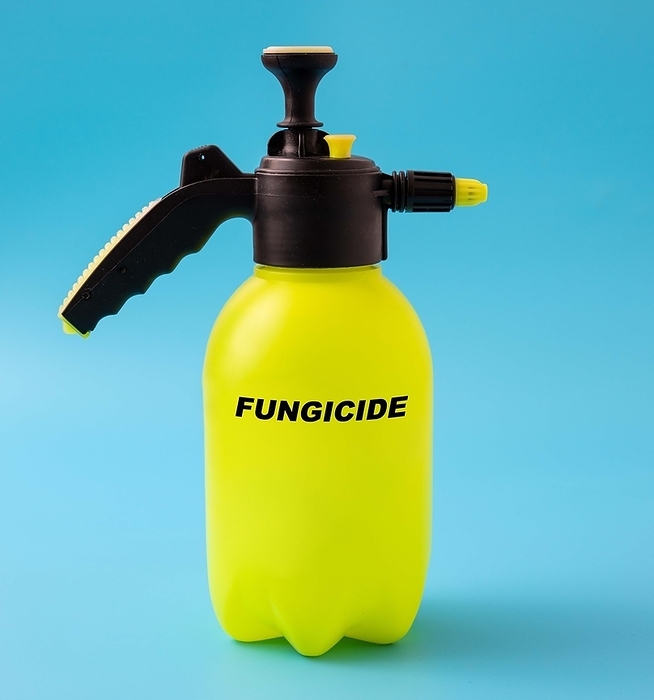 Fungicide in a plastic canister, conceptual image Fungicide in a plastic canister, conceptual image., by WLADIMIR BULGAR SCIENCE PHOTO LIBRARY