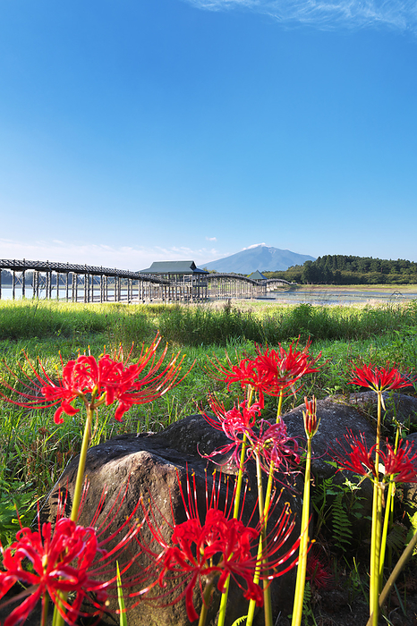 Tsurunomai Bridge, Tsugaru Fujimi Lake and Mt. The longest triple drum bridge in Japan