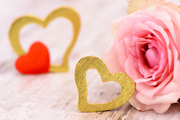 Liebe mit Herz und Rose an Valentinstag, Geburtstag und Muttertag valentines day with red rose and heart in love