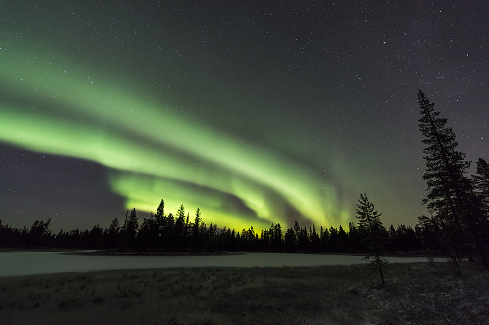Northern lights  Aurora borealis , Muddus National park, Lapland, Sweden Northern lights  Aurora borealis , Muddus National park, Lapland, Sweden