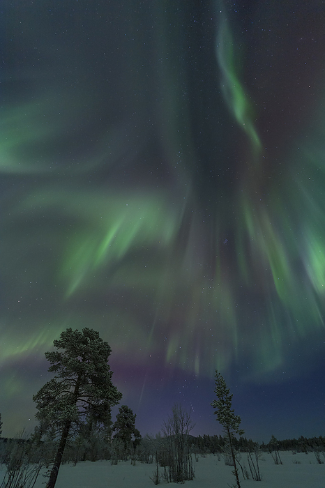 Northern lights  Aurora borealis , Lapland, Sweden Northern lights  Aurora borealis , Lapland, Sweden