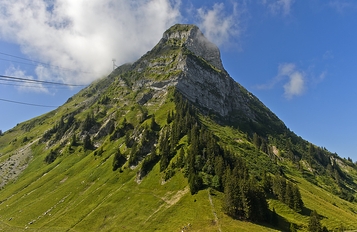 peak Moleson in the Swiss Prealps, Moléson-sur-Gruyères, canton of Fribourg, Switzerland