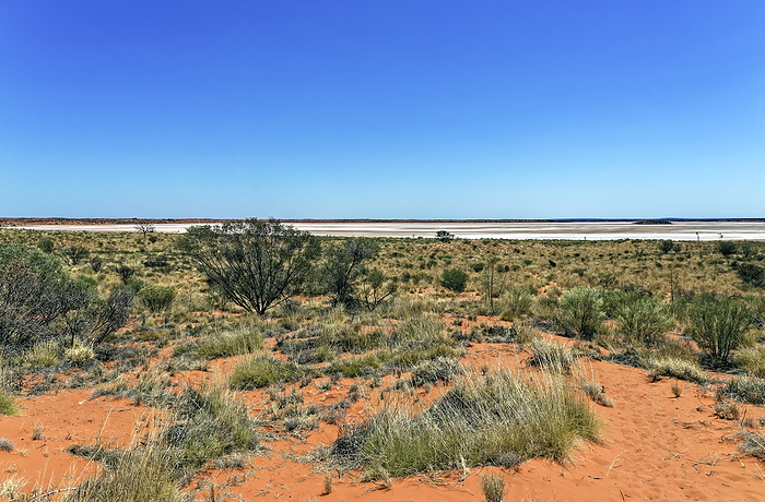 On the Lasseter Highway towards Uluru in the Australian outback with Lake Amadeus in the red center On the Lasseter Highway towards Uluru in the Australian outback with Lake Amadeus in the red center