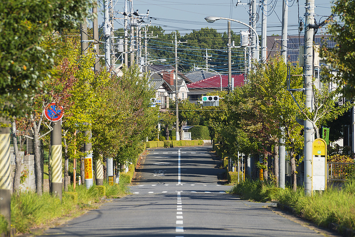 Ibaraki Traffic Signal Lights