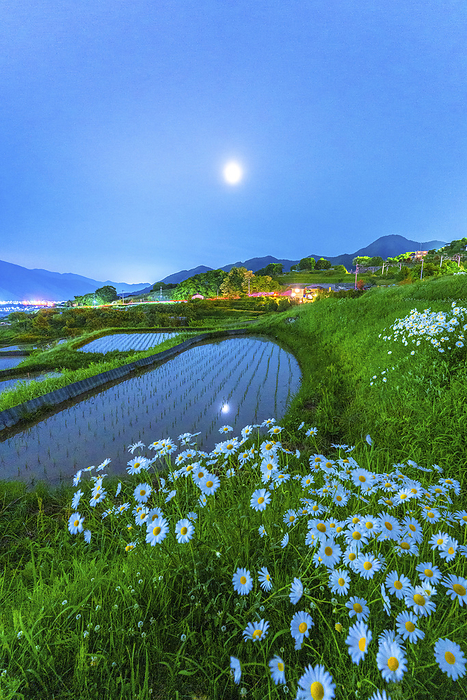 Terraced rice paddies and a lunar eclipse supermoon