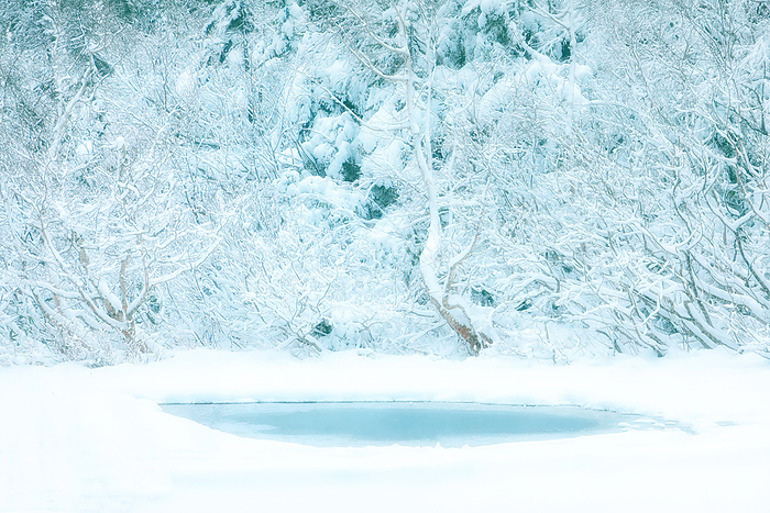 snowy landscape Digitally processed works