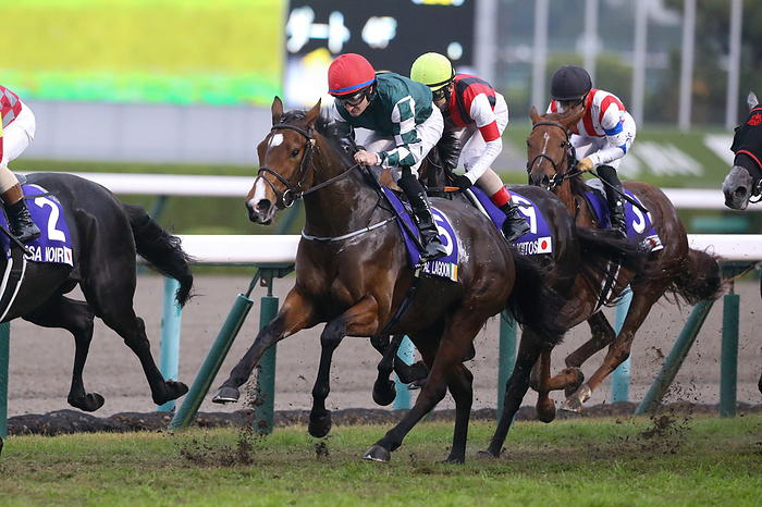 2022 Queen Elizabeth 2 Cup Magical Lagoon and Shane Foley during the Queen Elizabeth 2 Cup at Hanshin Racecourse in Hyogo, Japan, November 13, 2022. Yamane AFLO 